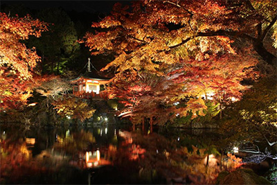 Daigo-ji autumn