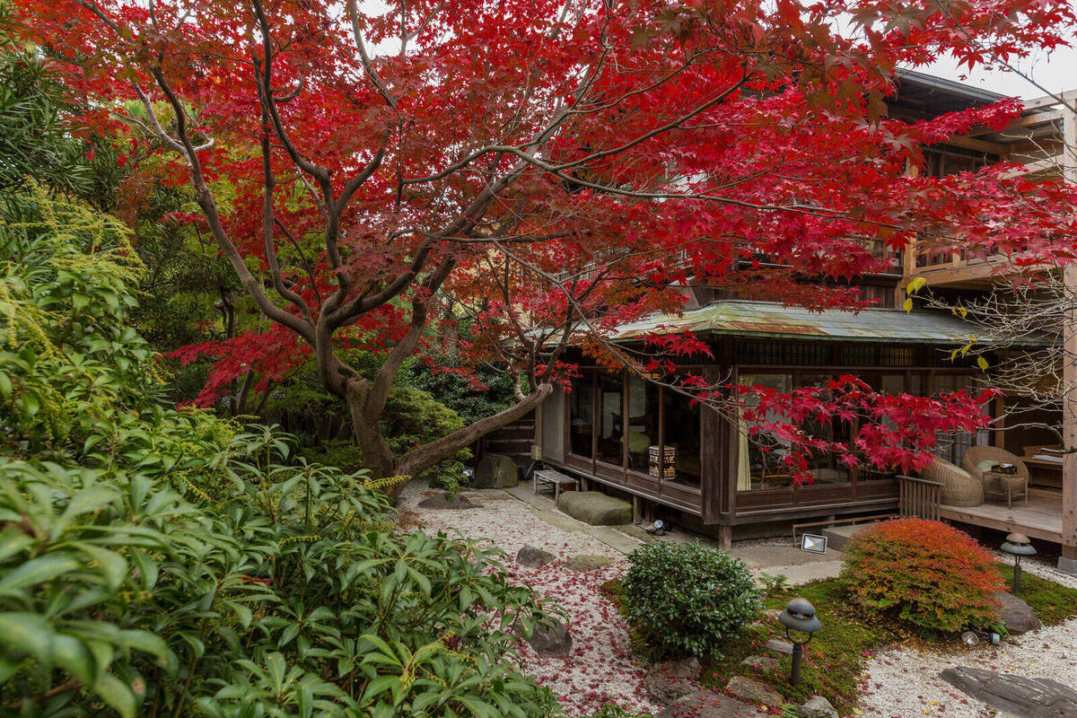 The HONKAN Main Building's Take room and garden surrounded by autumn leaves