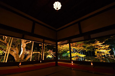 Hōsen-in framed garden