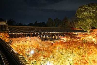Tōfuku-ji Tsutenkyo bridge